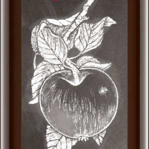 Apfelessig Naturtrüb 500 ml