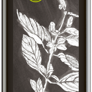 Basilikum Würzöl 250 ml