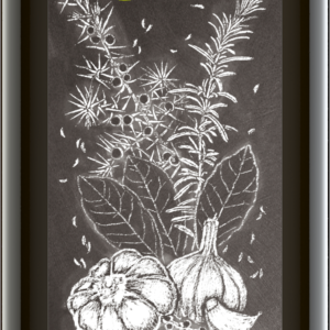 Kräuter Knoblauch Würzöl 500 ml