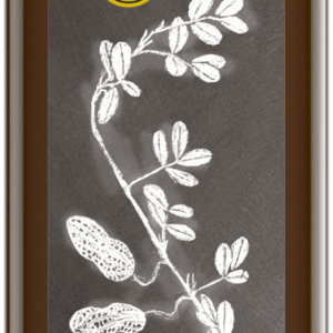 Erdnussöl nativ 250 ml