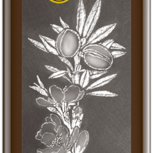 Mandelöl nativ 250 ml