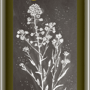 Rapskernöl nativ 500 ml