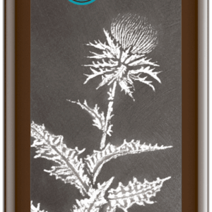 Mariendistelöl nativ 250 ml