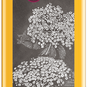 Holunderblüten-Balsamessig 250 ml