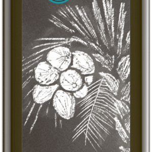 MCT-Öl aus Bio-Kokosöl 250 ml