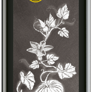 Kürbiskernöl nativ 250 ml