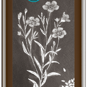 Leinöl nativ 250 ml