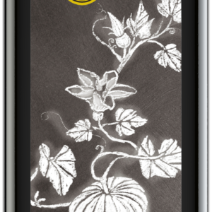 Kürbiskernöl geröstet 250 ml