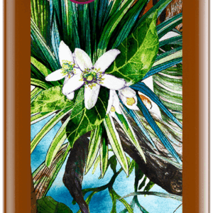 Orange Essigcreme 250 ml