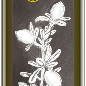 Arganöl geröstet 250 ml