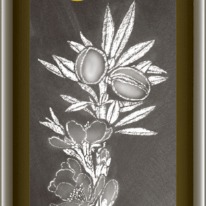 Mandelöl nativ 500 ml