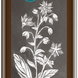 Borretschöl nativ 250 ml