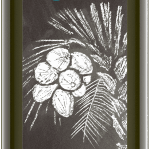 MCT-Öl aus Bio-Kokosöl 500 ml