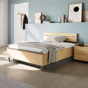 Burmeier RelaxBett NG 2024 inkl. elektrischem Lattenrost, 90x200, das komfortable Seniorenbett, bis 120kg