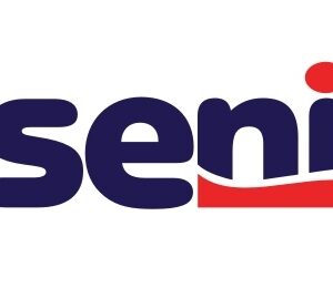 Seni Lady Slim Normal (neu), P=20 Stück, atmungsaktive Einlage, neue verbesserte Serie