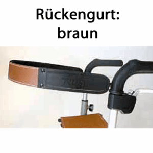 TrustCare Rückengurt braun für Lets Go Out Rollator (#2945)