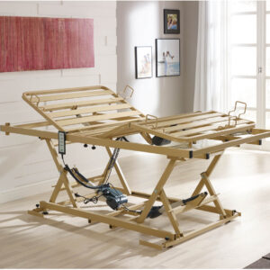 Burmeier Lippe 120*220 Einlegerahmen Betteinsatz, Sondermaß 120 x 220, elektrisch verstellbares Bett-im-Bett System, extra stabile Ausführung bis 250kg