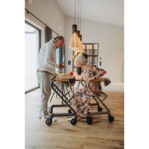 Saljol Wohnraumrollator | Komfort & Design für Ihr Zuhause